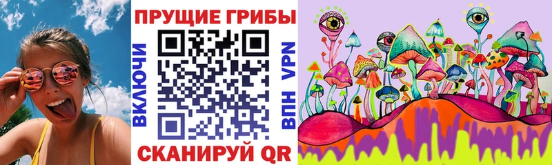 Галлюциногенные грибы ЛСД Отрадная